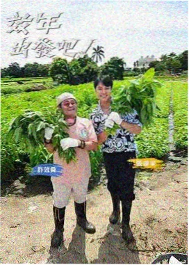 成年人免费在线 圆桌派